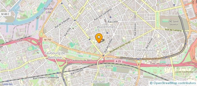 localisation de l'entreprise MONSIEUR MARWEN HASSINI  LILLE