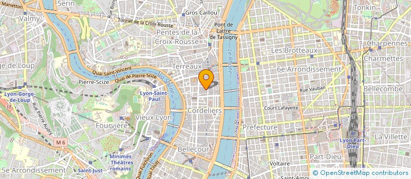 localisation de l'entreprise MONSIEUR MASSIMO VINACCIA à LYON