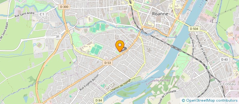 localisation de l'entreprise MONSIEUR MASSINY SEYE  ROANNE