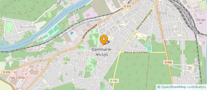 localisation de l'entreprise MONSIEUR MASSOUD MIAKHEL  DAMMARIE-LES-LYS