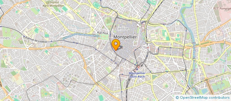 localisation de l'entreprise MONSIEUR MATEO GRAND-SALANGROS à MONTPELLIER