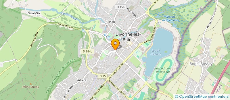 localisation de l'entreprise MONSIEUR MATEO PALMAS à DIVONNE-LES-BAINS