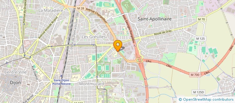 localisation de l'entreprise MONSIEUR MATEUS JOAO  DIJON