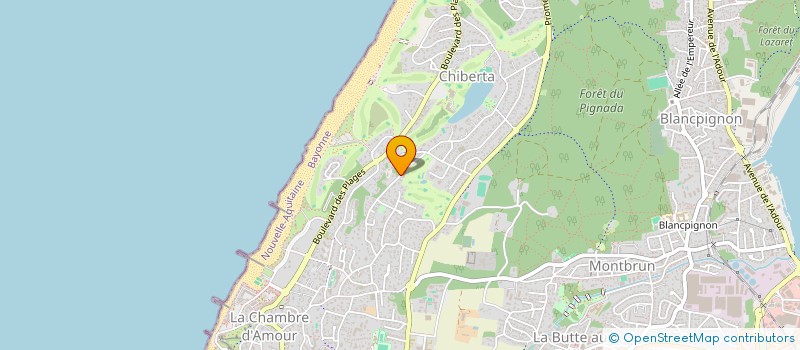 localisation de l'entreprise MONSIEUR MATHEO BILEK  ANGLET