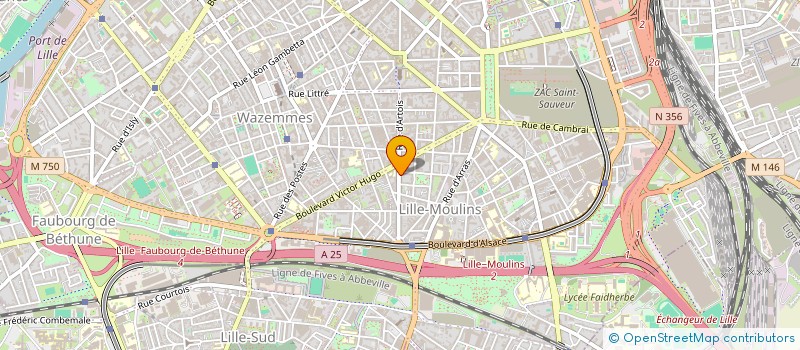 localisation de l'entreprise MONSIEUR MATHEO DUVACHER à LILLE