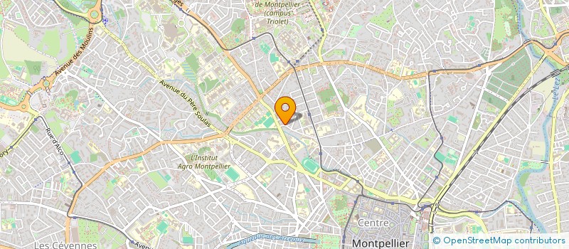 localisation de l'entreprise MONSIEUR MATHEO MESTRE à MONTPELLIER