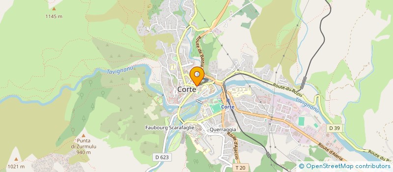 localisation de l'entreprise MONSIEUR MATHEO RIBA  CORTE