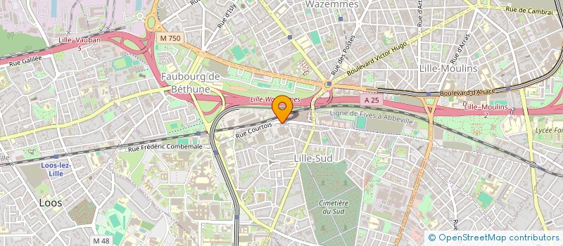 localisation de l'entreprise MONSIEUR MATHIAS BROUTIN  LILLE