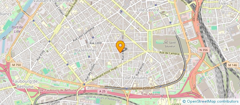 localisation de l'entreprise MONSIEUR MATHIAS LEPOUTRE à LILLE