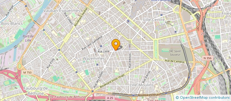 localisation de l'entreprise MONSIEUR MATHIAS MATHIAS DUBIN  LILLE