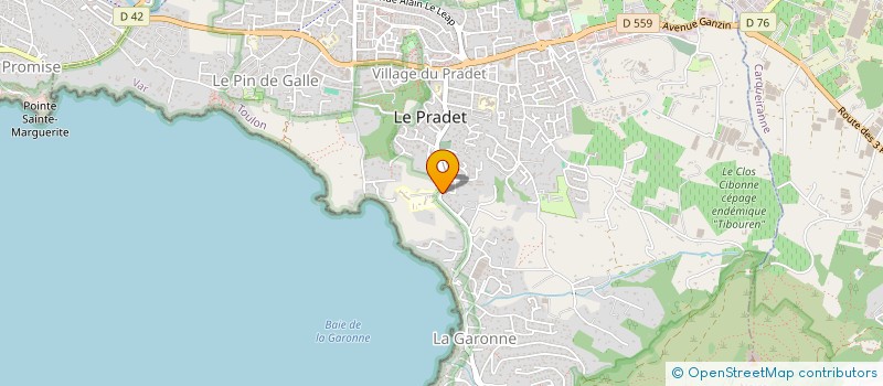 localisation de l'entreprise MONSIEUR MATHIAS PROVOST  LE PRADET