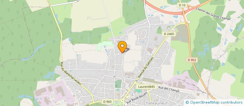 localisation de l'entreprise MONSIEUR MATHIAS RIBEIRO à CHATEAUNEUF-SUR-LOIRE