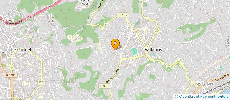 localisation de l'entreprise MONSIEUR MATHIAS VARELA CABRAL à VALLAURIS