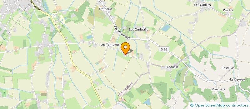localisation de l'entreprise MONSIEUR MATHIEU ALEGRE à NEGREPELISSE