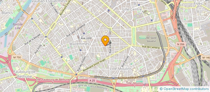 localisation de l'entreprise MONSIEUR MATHIEU AMARA  LILLE