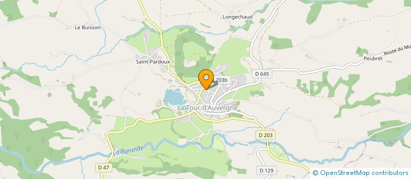 localisation de l'entreprise MONSIEUR MATHIEU ASSET  LA TOUR-D'AUVERGNE