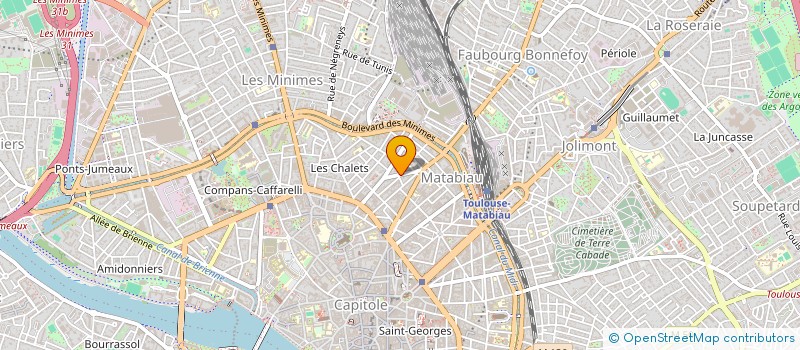 localisation de l'entreprise MONSIEUR MATHIEU AUDO à TOULOUSE