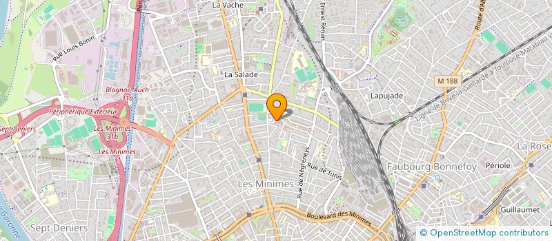 localisation de l'entreprise MONSIEUR MATHIEU AURICOSTE  TOULOUSE