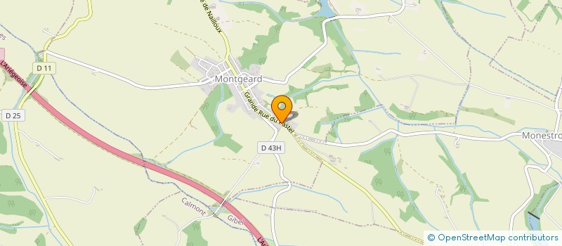 localisation de l'entreprise MONSIEUR MATHIEU BARTHE  MONTGEARD