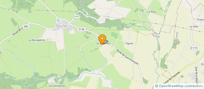 localisation de l'entreprise MONSIEUR MATHIEU BESSON  FLEURIEL