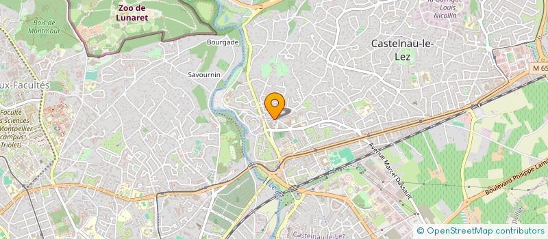 localisation de l'entreprise MONSIEUR MATHIEU BOUCHET à CASTELNAU-LE-LEZ