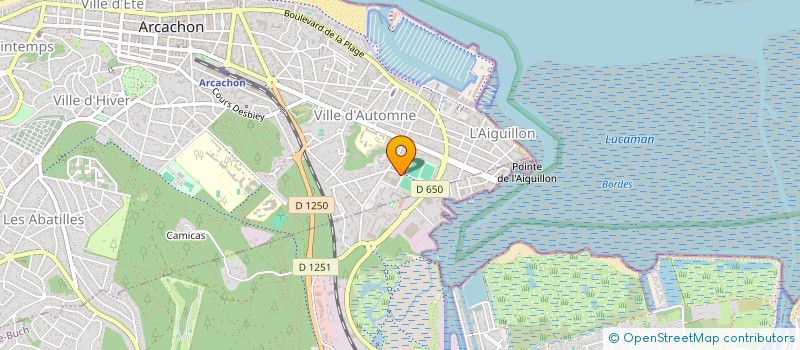 localisation de l'entreprise MONSIEUR MATHIEU BOURLOIS  ARCACHON