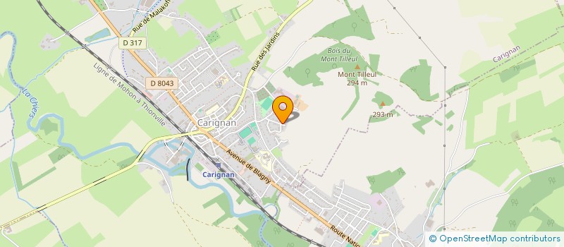 localisation de l'entreprise MONSIEUR MATHIEU BOUTIN  CARIGNAN