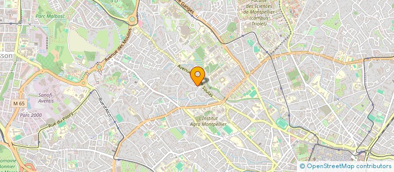 localisation de l'entreprise MONSIEUR MATHIEU CHASTAING à MONTPELLIER