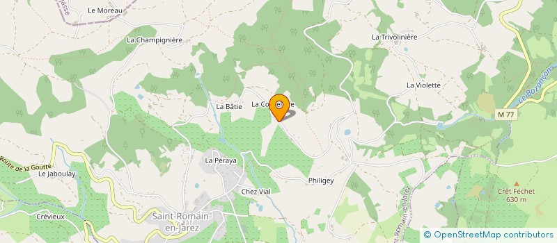 localisation de l'entreprise MONSIEUR MATHIEU CHILLET  SAINT-ROMAIN-EN-JAREZ