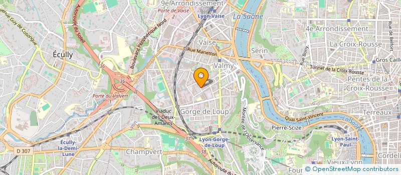 localisation de l'entreprise MONSIEUR MATHIEU CHOMAT  LYON