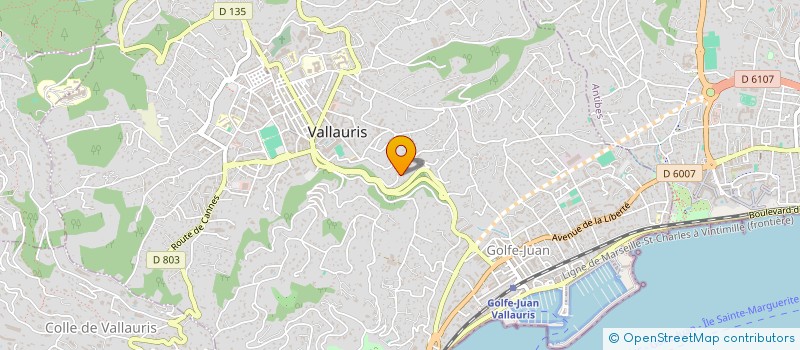 localisation de l'entreprise MONSIEUR MATHIEU COFFRE  VALLAURIS