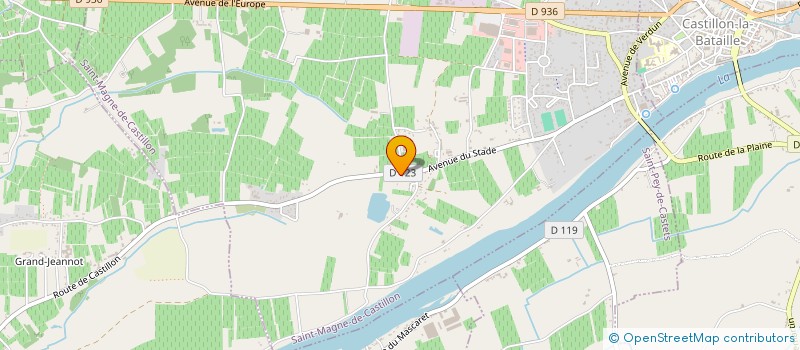 localisation de l'entreprise MONSIEUR MATHIEU COLET à SAINT-MAGNE-DE-CASTILLON