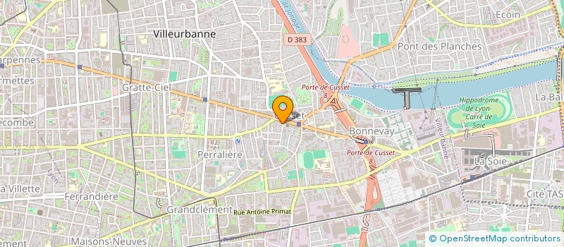 localisation de l'entreprise MONSIEUR MATHIEU COLIN  VILLEURBANNE