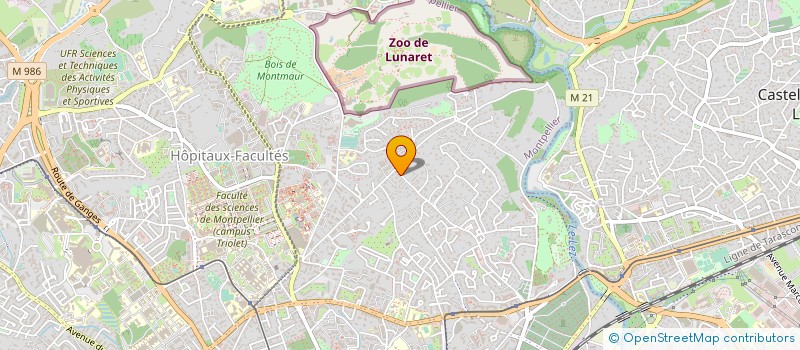 localisation de l'entreprise MONSIEUR MATHIEU COUTTENIER à MONTPELLIER