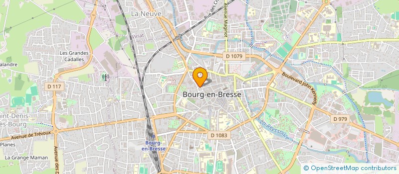 localisation de l'entreprise MONSIEUR MATHIEU CUOCCI à BOURG-EN-BRESSE