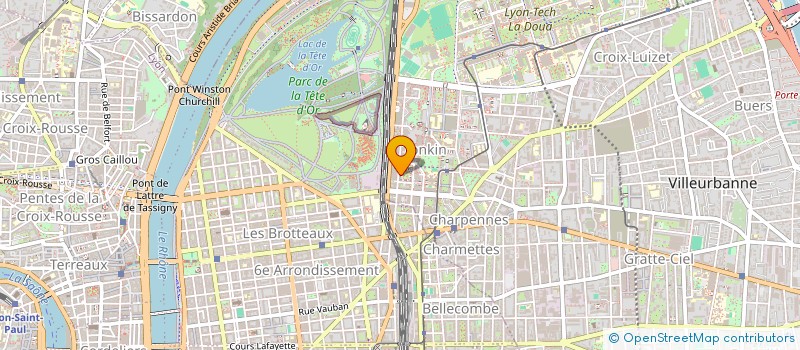 localisation de l'entreprise MONSIEUR MATHIEU DAMAS  VILLEURBANNE