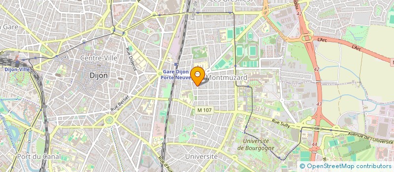 localisation de l'entreprise MONSIEUR MATHIEU DAMOUR à DIJON