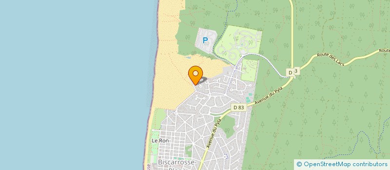 localisation de l'entreprise MONSIEUR MATHIEU DESAPHIE  BISCARROSSE