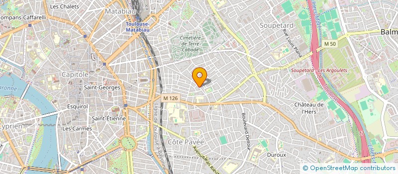 localisation de l'entreprise MONSIEUR MATHIEU DEVOISINS  TOULOUSE