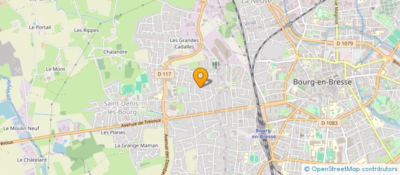 localisation de l'entreprise MONSIEUR MATHIEU DHENNIN à SAINT-DENIS-LES-BOURG