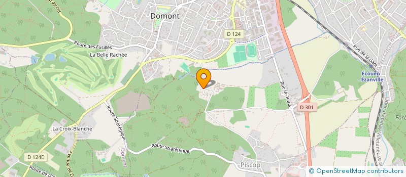 localisation de l'entreprise MONSIEUR MATHIEU DOMAN  PISCOP