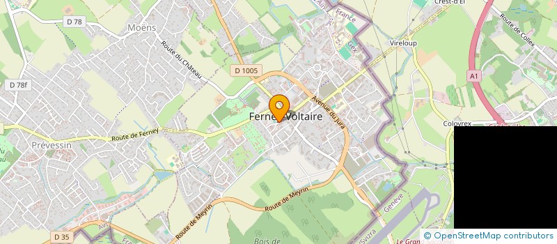 localisation de l'entreprise MONSIEUR MATHIEU DURRLEMAN à FERNEY-VOLTAIRE