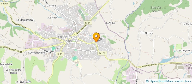 localisation de l'entreprise MONSIEUR MATHIEU ESCOT  CHAZELLES-SUR-LYON