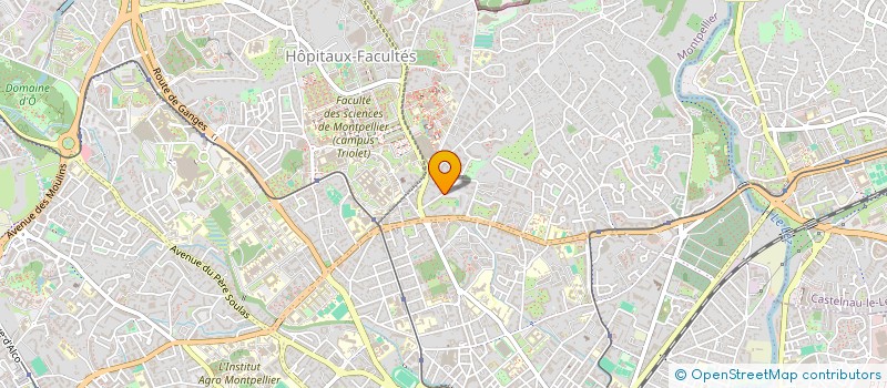 localisation de l'entreprise MONSIEUR MATHIEU FAYEZ à MONTPELLIER