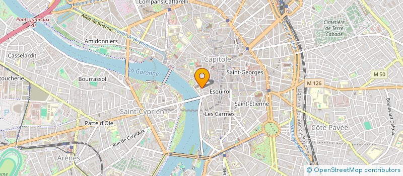 localisation de l'entreprise MONSIEUR MATHIEU FLORENT  TOULOUSE