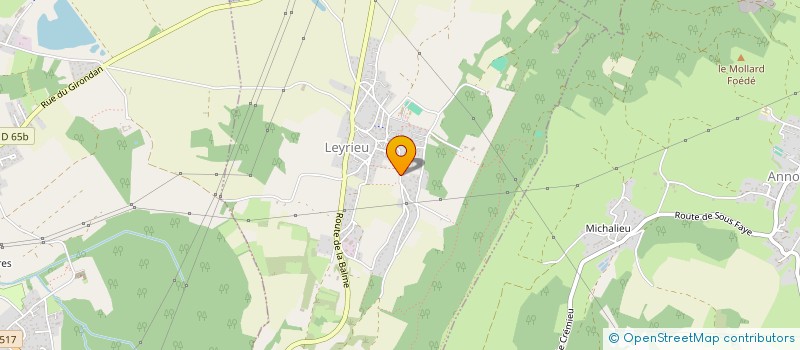 localisation de l'entreprise MONSIEUR MATHIEU FOURNIER  LEYRIEU