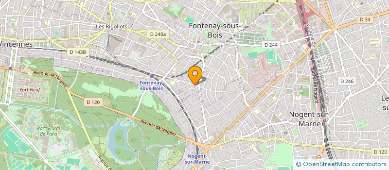 localisation de l'entreprise MONSIEUR MATHIEU GASSER à FONTENAY-SOUS-BOIS