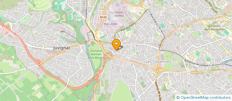 localisation de l'entreprise MONSIEUR MATHIEU GAZELLIAN à MONTPELLIER