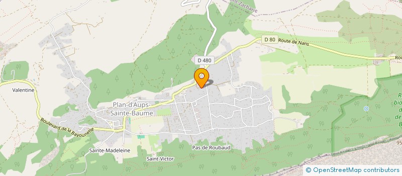 localisation de l'entreprise MONSIEUR MATHIEU GHIS  PLAN-D'AUPS-SAINTE-BAUME