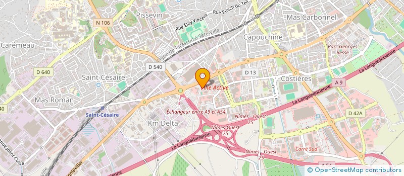 localisation de l'entreprise MONSIEUR MATHIEU GUERRINI  NIMES